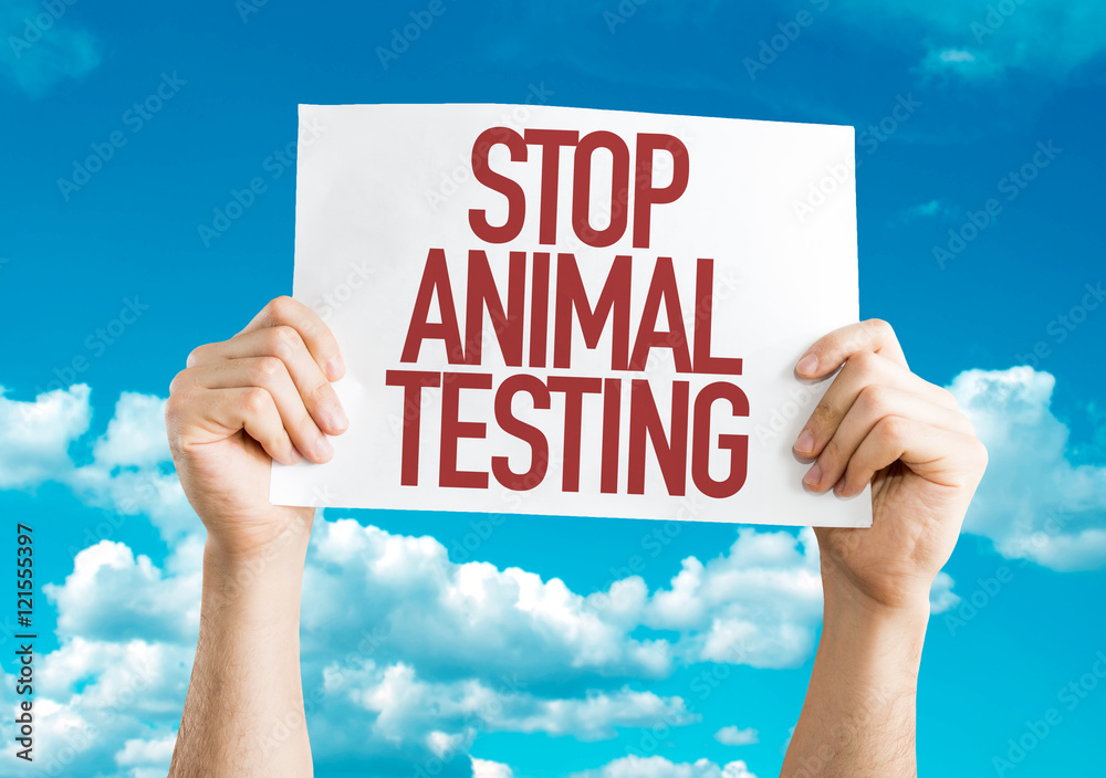 Stop Animal Testing placard with sky background Stop Animal Testing placard with sky background