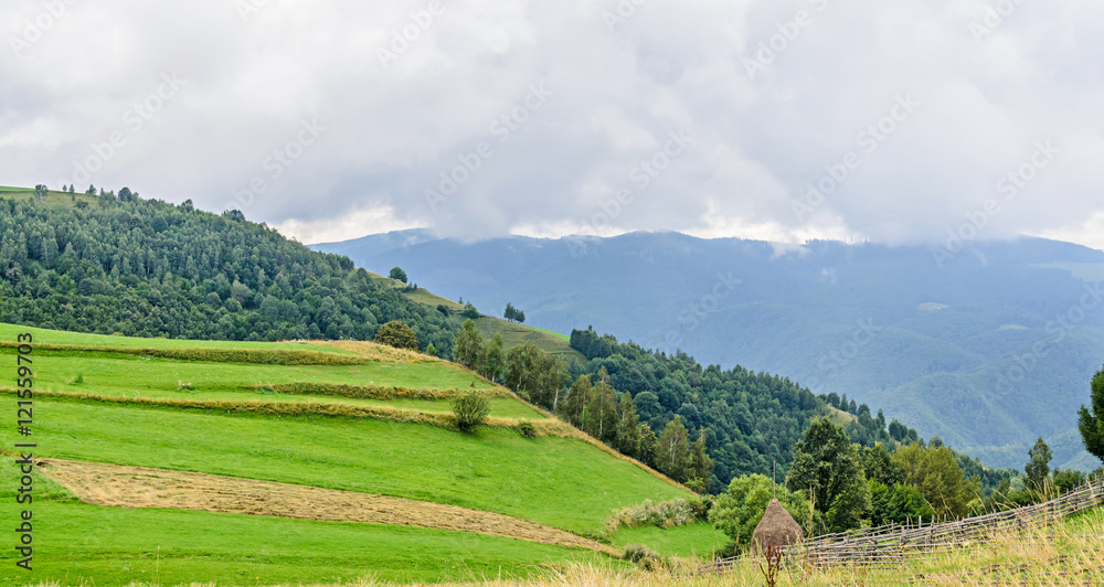 Fototapeta premium Green grass hills on the Transalpina road, Parang Mountains