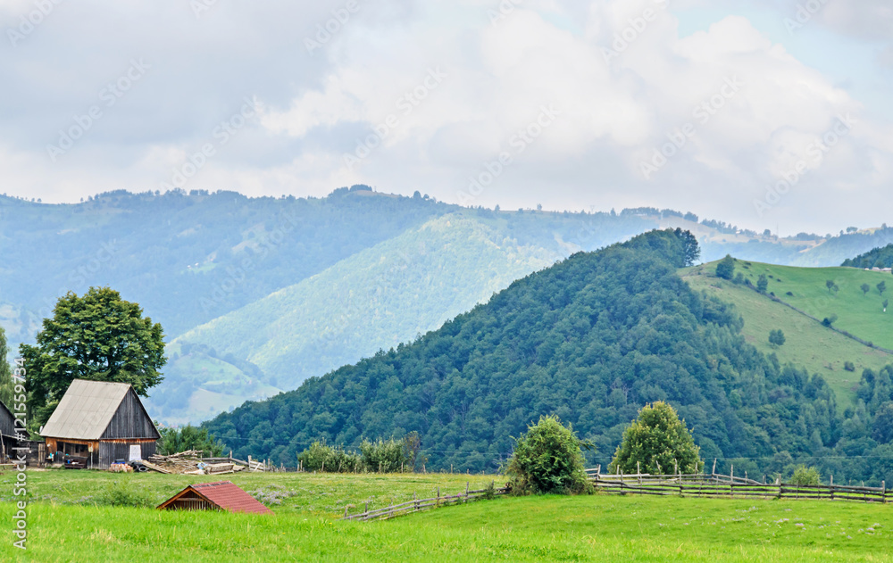 Green grass hills on the Transalpina road,  Parang Mountains