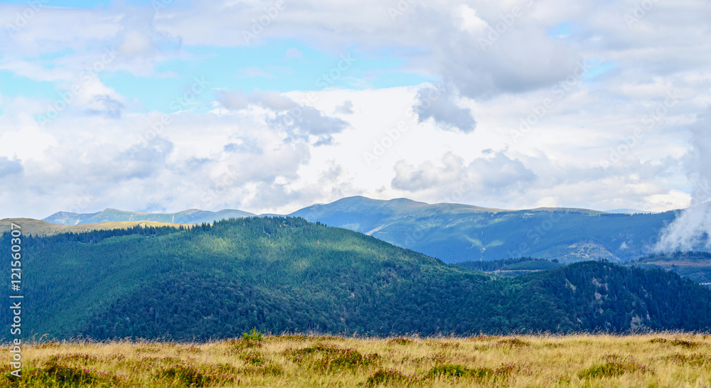 Transalpina road with hills covered with green grass, Parang Mountains