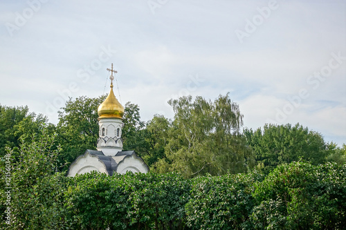 The Orthodox Church in the trees
