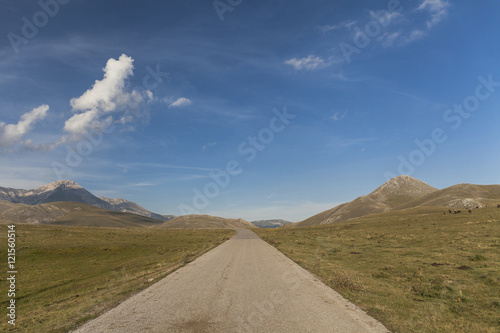 Straight mountain road across a green filed. Blue sky with clouds in the background