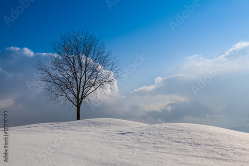 Winter landscape under blue sky