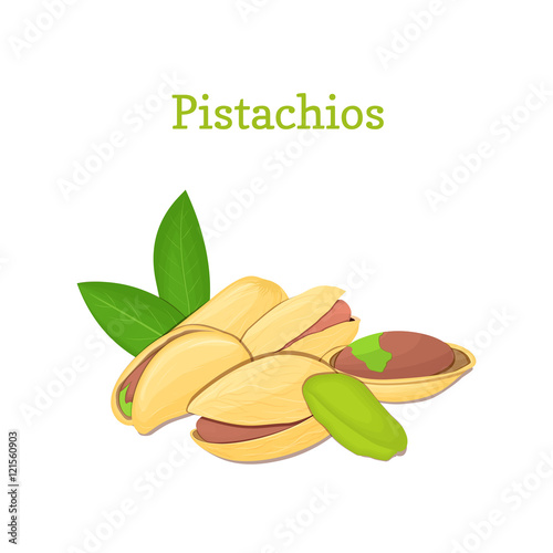 Pistachio nuts with leaves. Vector illustration of a handful of nuts isolated on white background it can be used as packaging design element, printing brochures on healthy and vegetarian diet