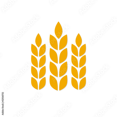 Wheat ears or rice icon isolated on white background. Agricultural symbol. Design elements for bread packaging or beer label. Colorful vector illustration.