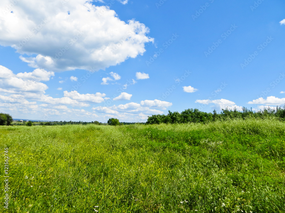 Wide green meadow Wide green meadow