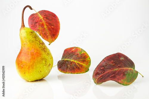  Juicy and ripe pear with colorful autumn leaves, isolated on white background