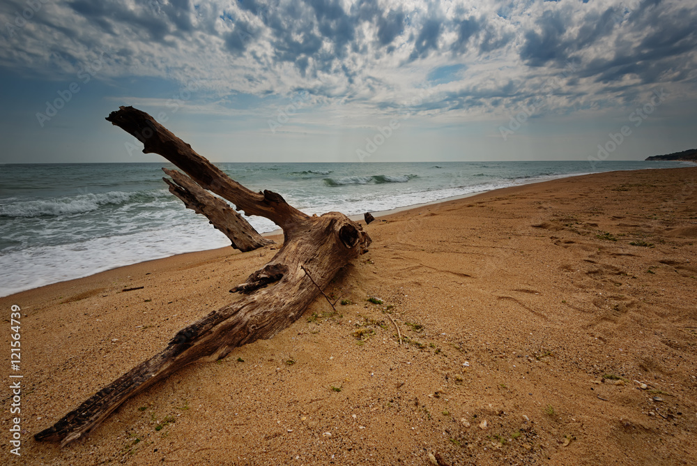 Karadere beach at the summer, near Varna, Bulgaria Karadere beach at the summer, near Varna, Bulgaria
