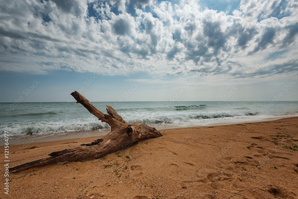 Karadere beach at the summer, near Varna, Bulgaria