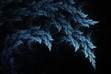Blue leaves on black background