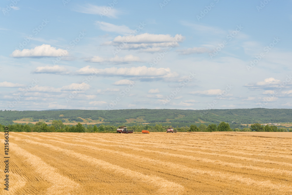 Agricultural machinery on a yellow field under a blue sky with clouds