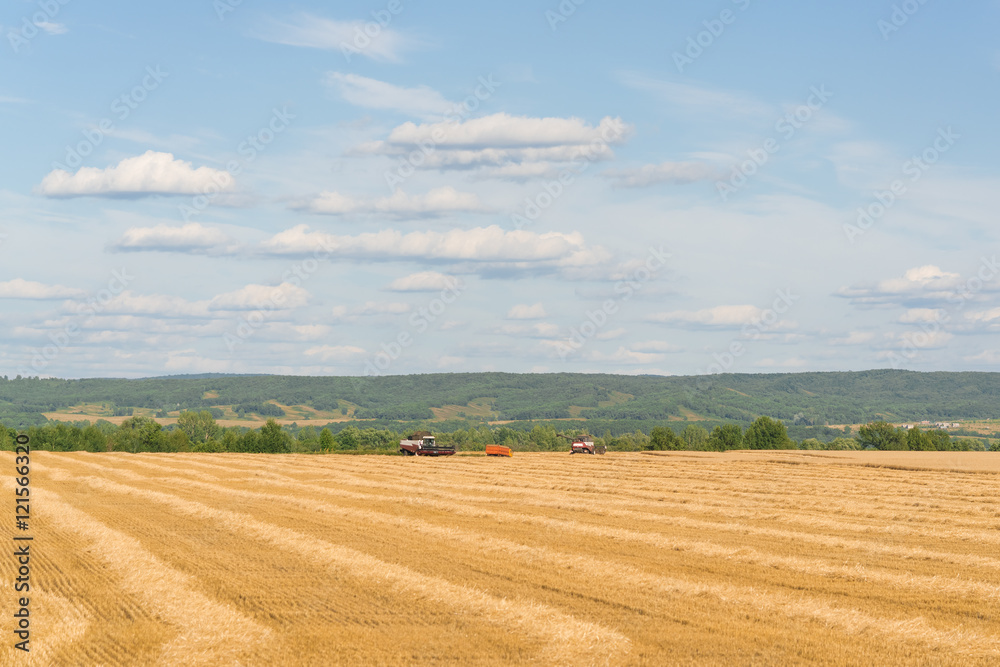 Agricultural machinery on a yellow field under a blue sky with clouds Agricultural machinery on a yellow field under a blue sky with clouds