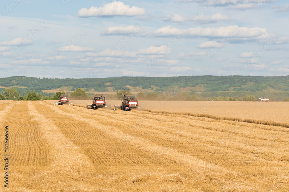 Obraz premium Combine Harvesters working on yellow agricultural field under a blue sky with clouds