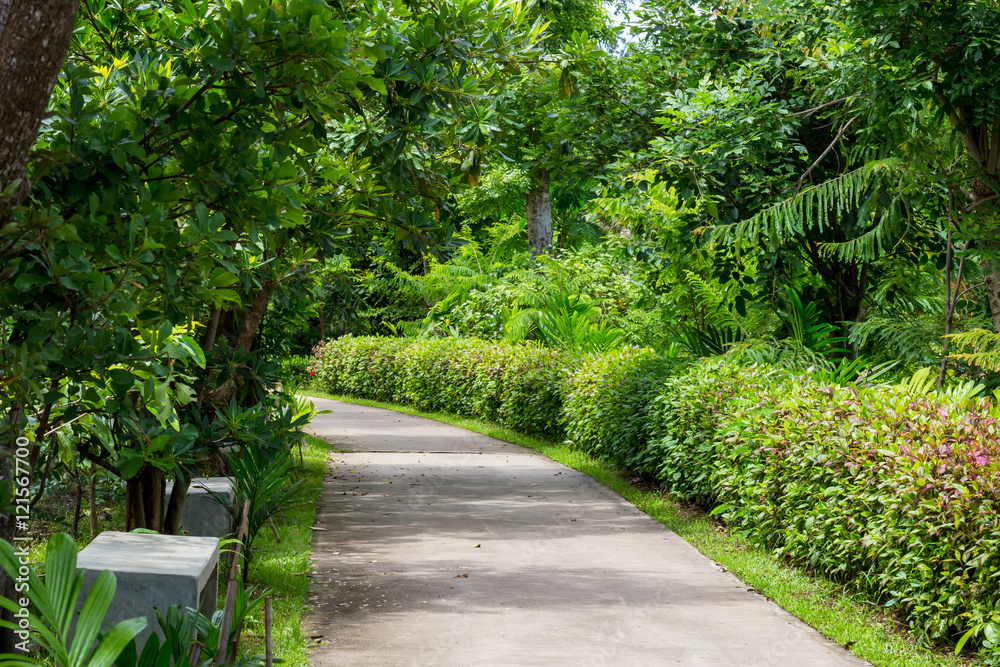 pathway in public park