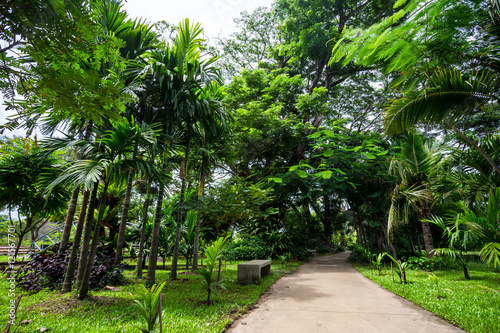 pathway in public park