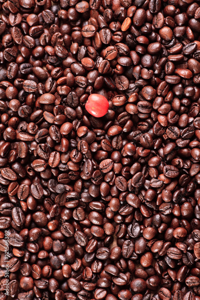 Fototapeta premium coffee beans and red ripe coffee