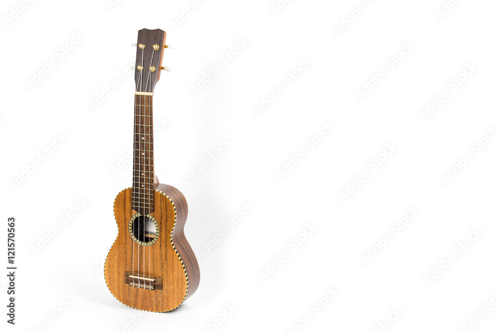 Ukulele isolated on white background. Music instrument.