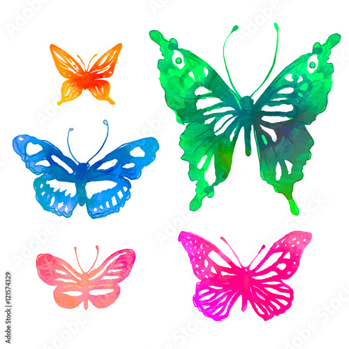 Amazing colorful background with butterflies,  watercolors (vect