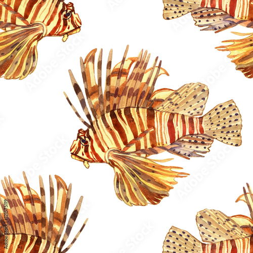 Watercolor fish. Sea fish set illustration isolated on white background