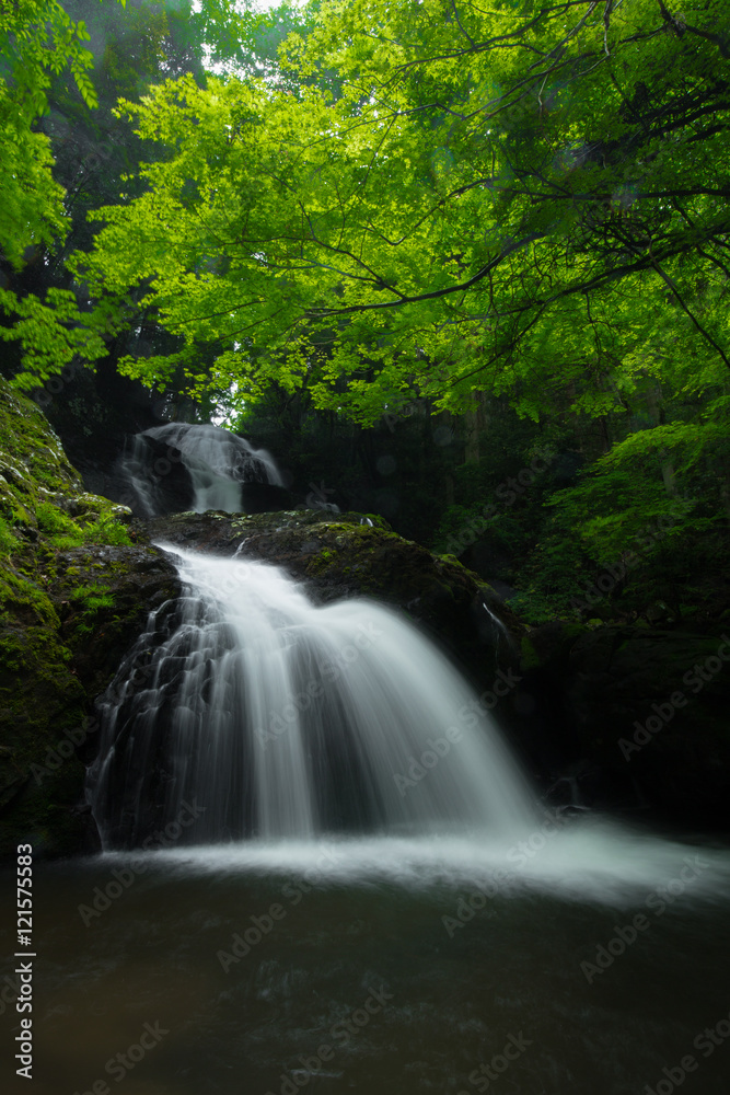 滝と新緑（愛媛県久万高原町遅越の滝）