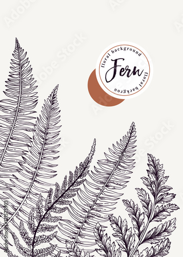 Background with leaves of fern.