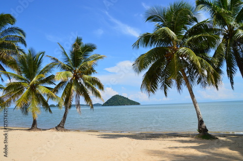 Tropical Beach in Bornea  Asia
