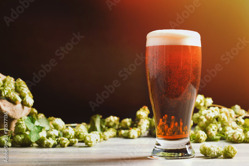 Beer & Hops