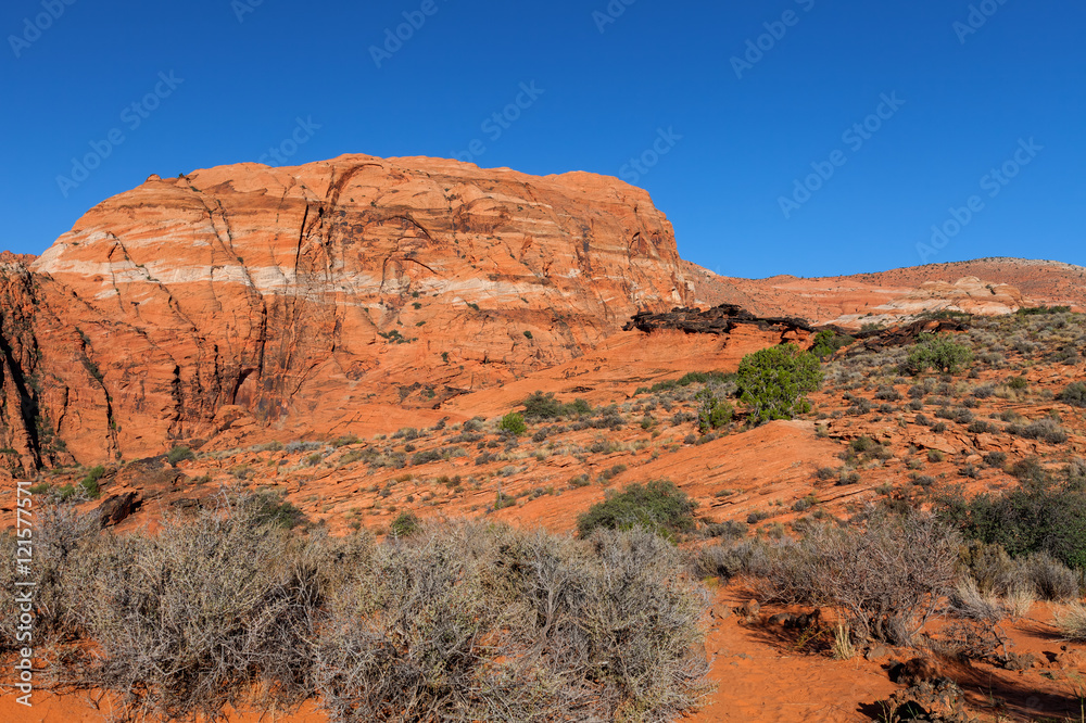 Snow Canyon State Park -Ivins -Utah. This scenic desert  red rock park has numerous trails, canyons, and spectacular vistas.
