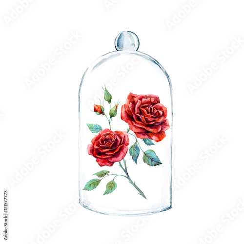 Rose in a glass case