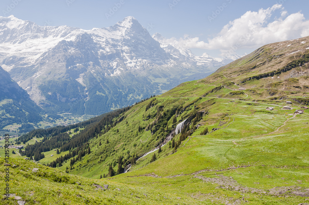 Grindelwald, Alpen, Schweizer Berge, Berner Oberland, First, Alm, Waldspitz, Wanderweg, Eiger, Eigernordwand, Sommer, Schweiz