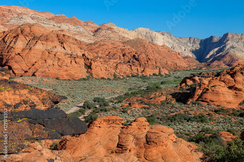 Snow Canyon State Park -Ivins -Utah. This scenic desert  red rock park has numerous trails, canyons, and spectacular vistas. photo