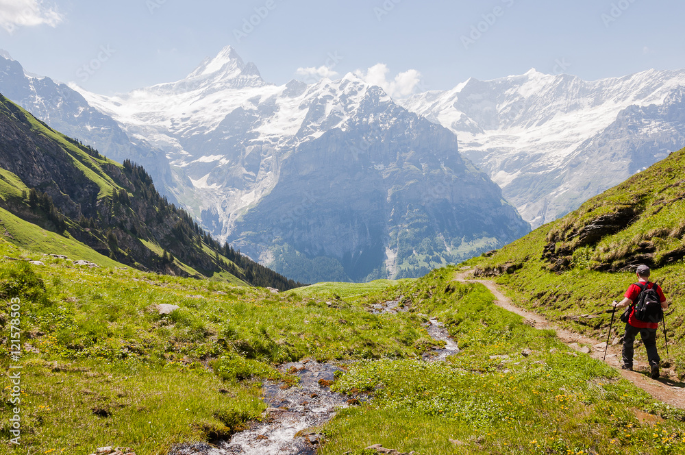 Grindelwald, Dorf, Berner Oberland, Alpen, Schweizer Berge, Schreckhorn, Grindelwaldgletscher, First, Waldspitz, Wanderweg, Sommer, Schweiz