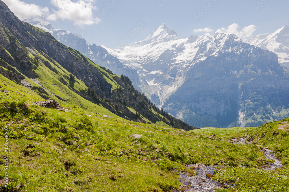 Grindelwald, Dorf, Schreckhorn, Alpen, First, Waldspitz, Wanderweg, Bergbach, Berner Oberland, Sommer, Schweiz