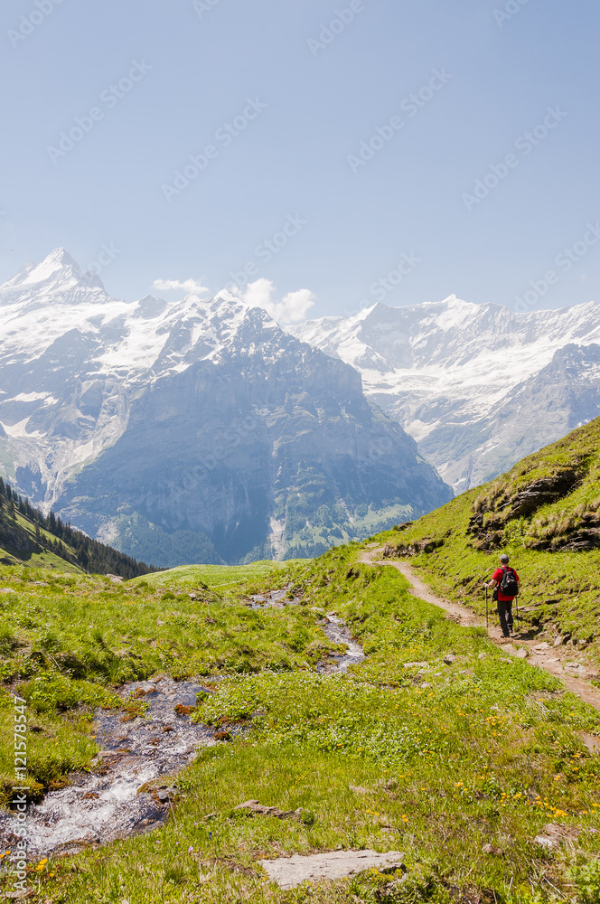 Grindelwald, Dorf, Berner Oberland, Alpen, Schweizer Berge, First, Waldspitz, Wanderweg, Wanderer, Sommer, Schweiz