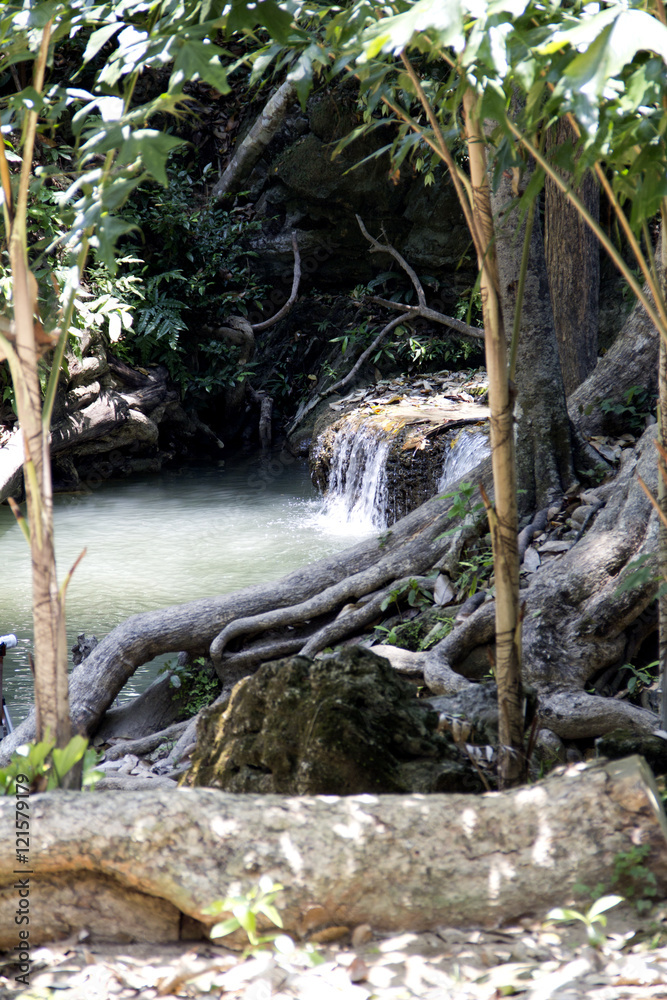 Fototapeta premium One corner of nature waterfall