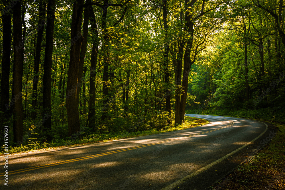 Fototapeta premium Skyline Drive, Shenandoah National Park
