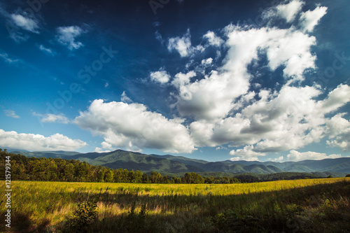 Canvas Print Curves of Cades Cove
