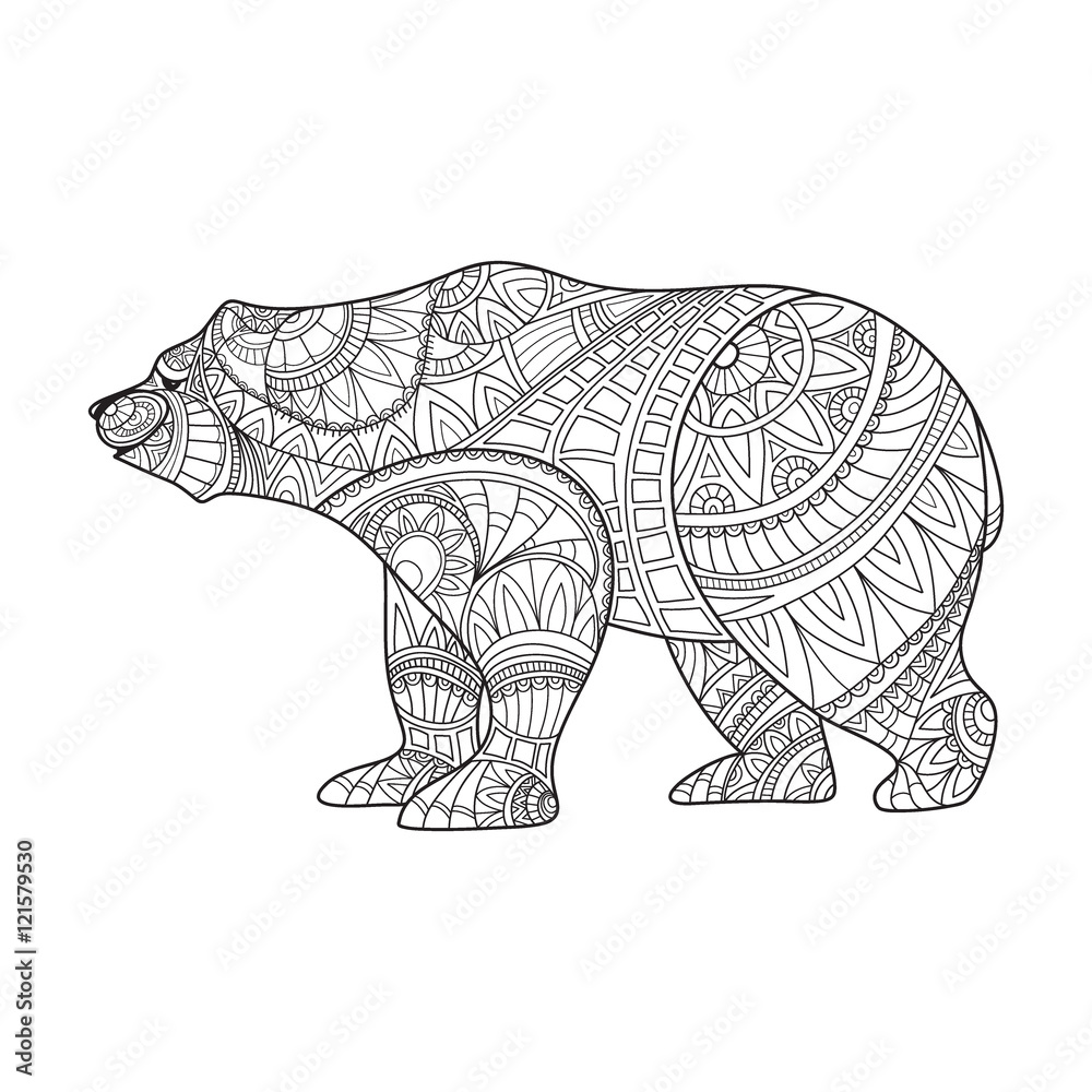 Fototapeta premium bear, animal, coloring book, coloring