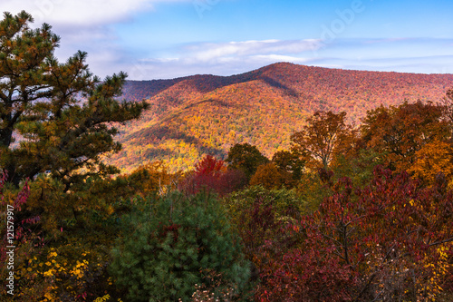 View from Jeremy Run Overlook