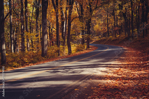 Skyline Drive in Gold