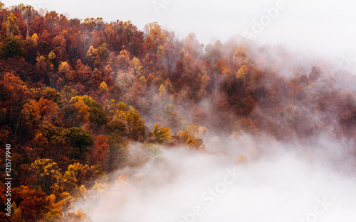 Fall Season in Clouds