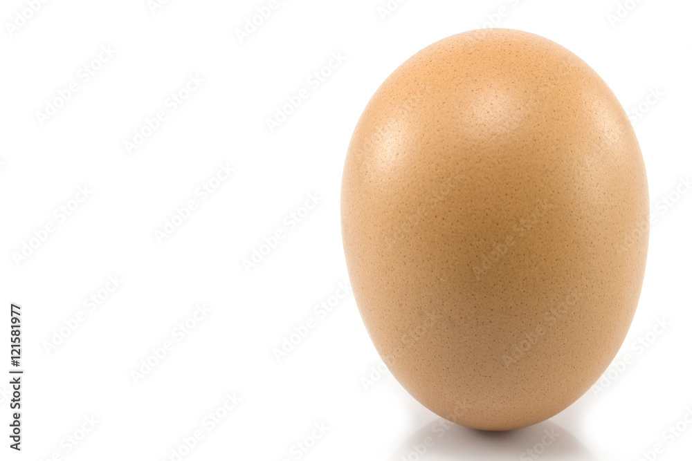 Single brown chicken egg isolated Single brown chicken egg isolated