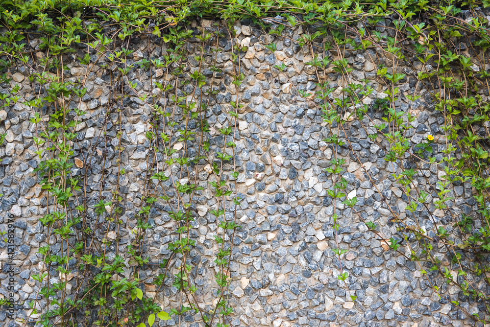 Green leaves wall background