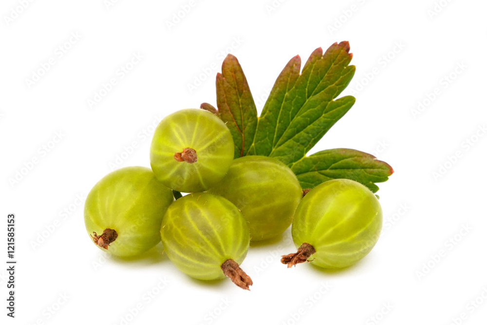 Fresh ripe gooseberries isolated on a white background Fresh ripe gooseberries isolated on a white background