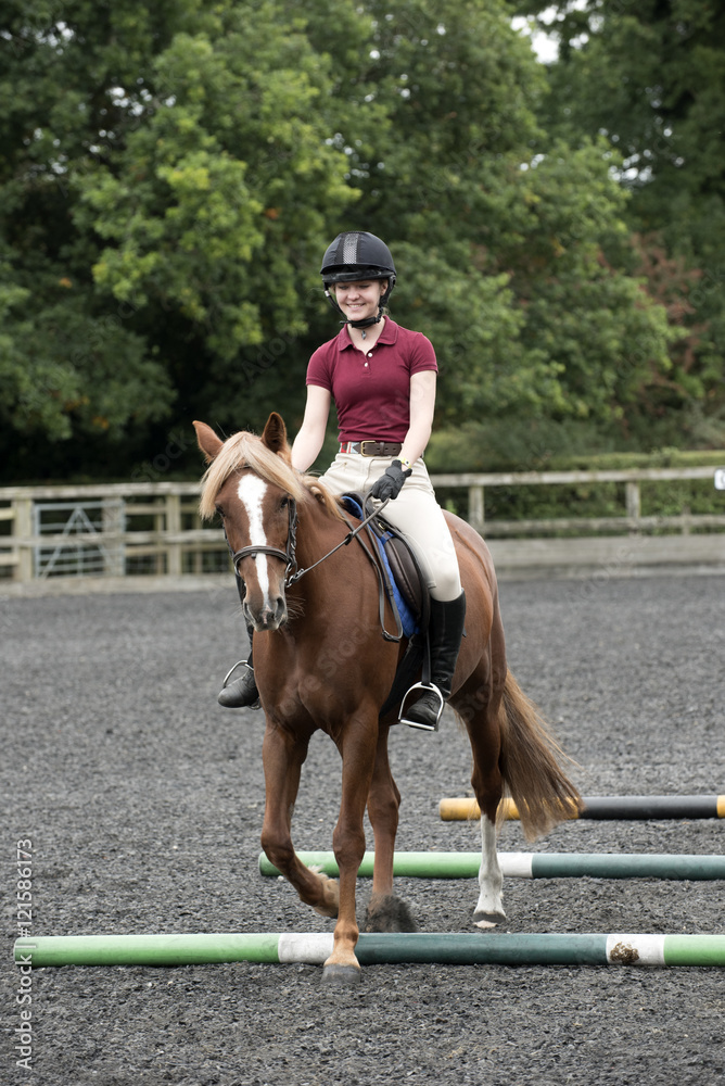 A young pony rider walking a pony - September 2016 - A Chestnut pony and rider stepping between and over poles laid on the ground A young pony rider walking a pony - September 2016 - A Chestnut pony and rider stepping between and over poles laid on the ground