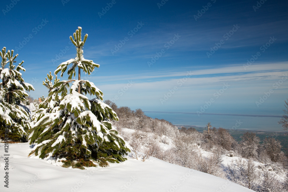 Obraz premium Winter in Derazno, Golestan, Iran
