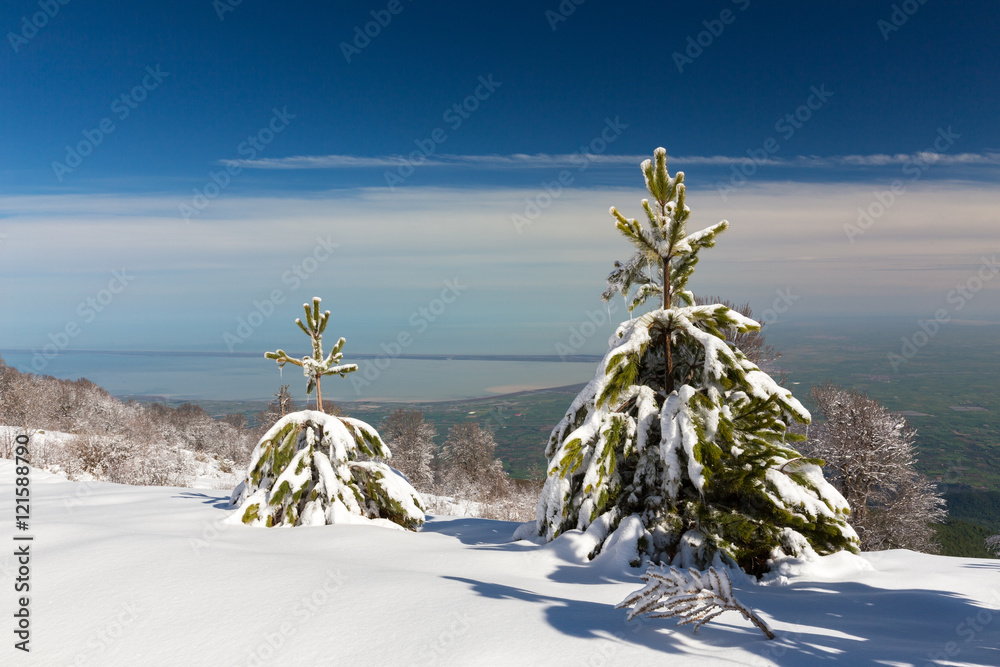 Naklejka premium Winter in Derazno, Golestan, Iran