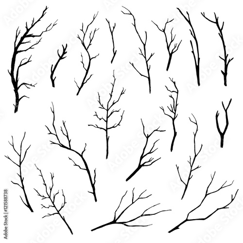 Hand drawn tree branches collection. Vector illustration.