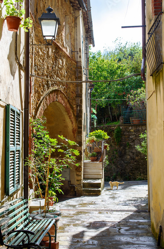 Naklejki na drzwi Uliczka w Toskanii