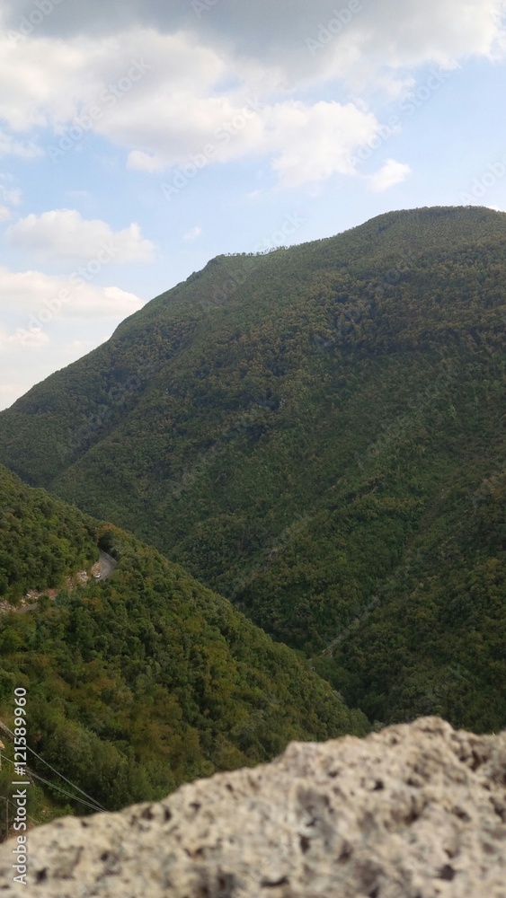 Fototapeta premium versanti boschivi